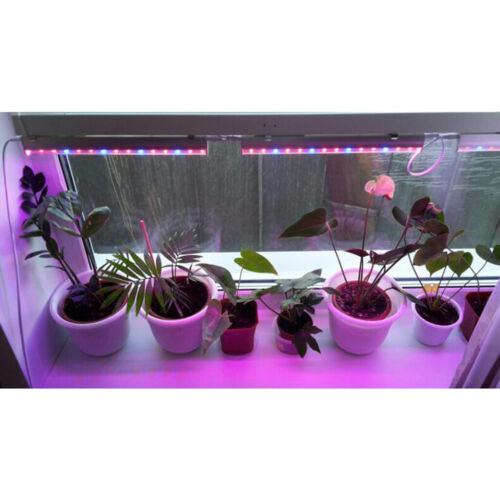 7W LED Pflanzen wachsen Licht Modulator Tube Garden Red & Blue LED Lampe - Picture 1 of 12