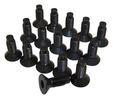 Crown Automotive 6035757K Windshield Hinge Torx Screw Kit