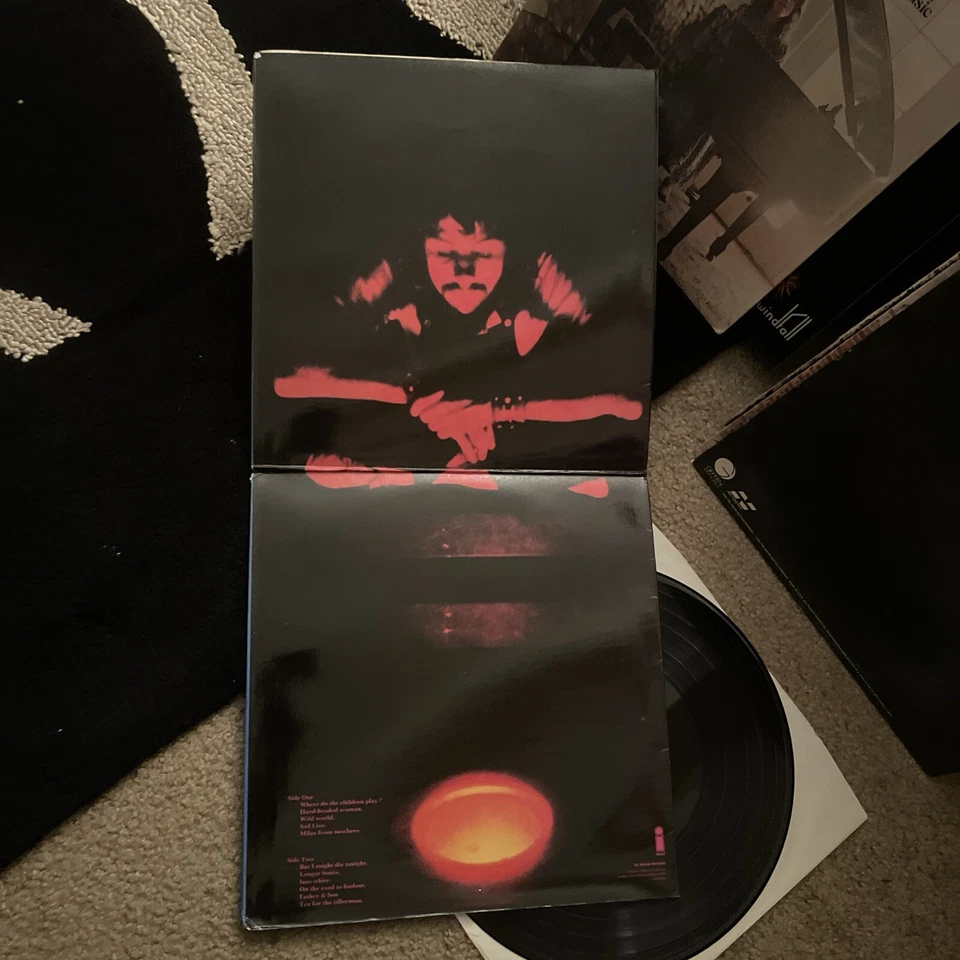 CAT STEVENS, Tea For The Tillerman, LP German Pressing Gatefold Import EX - Image 2 of 4