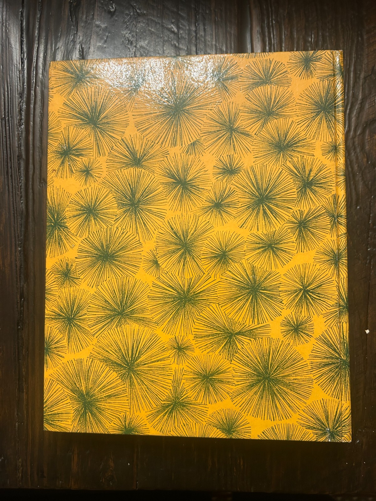 Picture 5 of 11
