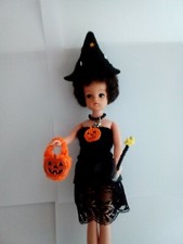 Clothes and accessories fits sindy  dolls