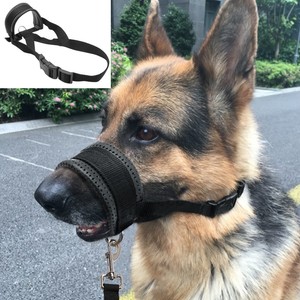 muzzle loop