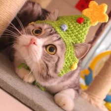 Hand Crocheted Christmas Tree Hat For Cat or Dog