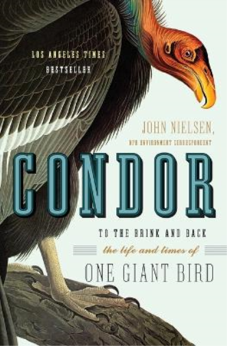 John Nielsen Condor (Tascabile)