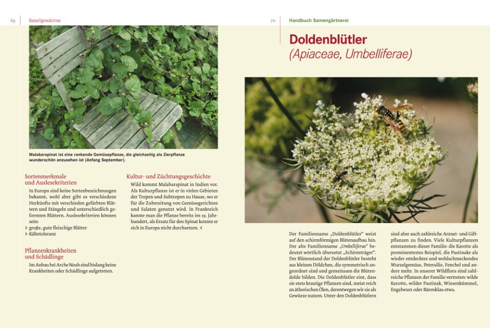 Thumbnail - Handbuch Samengärtnerei Andrea Heistinger