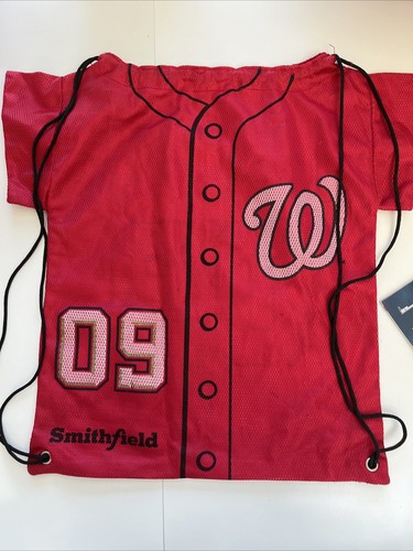 Washington NATIONALS FAN BOX! Bag, new Strasburg Mini Fig, Livan 10th Bobblehead - Picture 7 of 11