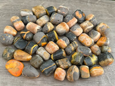 Grade A++ Bumblebee Jasper Tumbled Stones, 0.75-1.25'' Tumbled Bumblebee Jasper