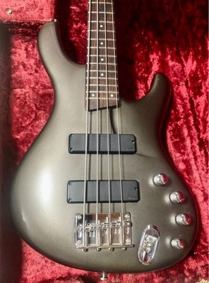 Ibanez EDB500 ELGODYNE / E-Bassgitarre