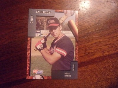 1992 BOISE HAWKS Fleer/ProCards Minor League Single Cards YOU PICK OBO