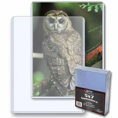 (5) BCW 5''x7'' TOPLOADERS - TRADING CARD BOX TOPPER, PHOTO, POSTCARD RIGID HOLDER