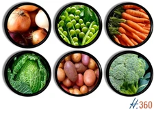 Vegetable Cabinet Knobs Set of 6 | Rustic Farmhouse Kitchen Drawer Pulls Veggie