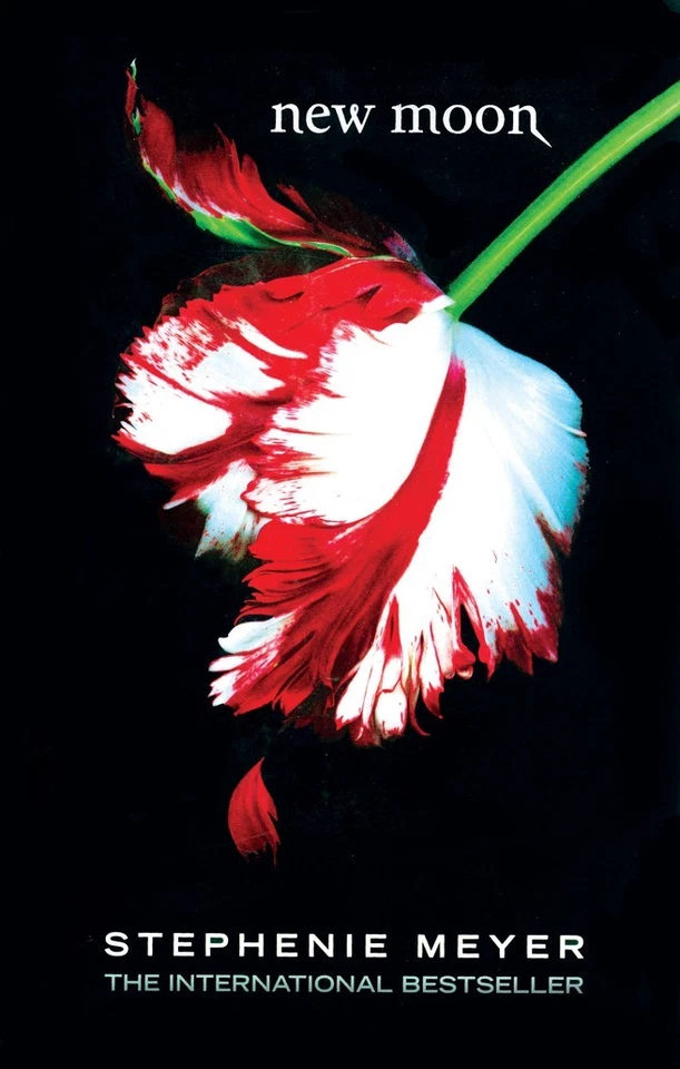 Twilight Series 1-4 Book Collection Set - FREE P+P (Genuine new UK Editions) - Image 4 of 4