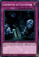 Yu-Gi-Oh: Labyrinth des Albtraums | SGX2-FRD20 | Commune | NM | DE