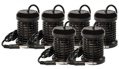 6x Elektrode Spule aus Edelstahl, mit 6,3mm für Ion Cleanser, Royal Spa, schwarz