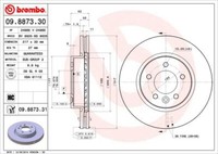 2X Brembo 09.8873.31 Bremsscheibe FüR Land Rover