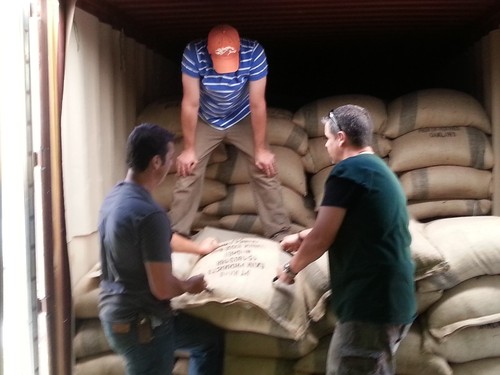 Lavanta Coffee Costa Rica Tarrazu Arabica Green or Roasted Coffee - Picture 11 of 12
