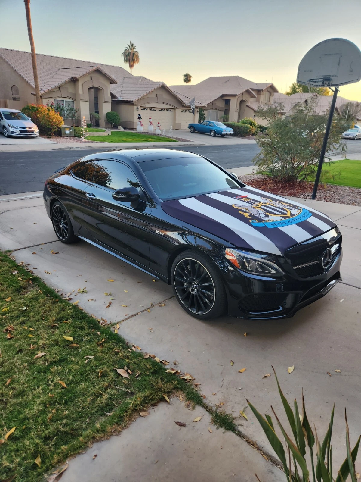 Newcastle United Auto Hood Cover with Flags