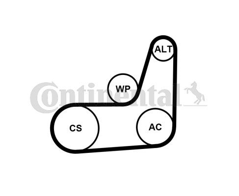 Keilrippenriemensatz Continental Ctam 6PK1019 Elast T2 FüR Ford-image