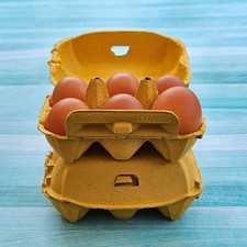 Henpac Yellow  6-Egg Box, fits up to large hens eggs