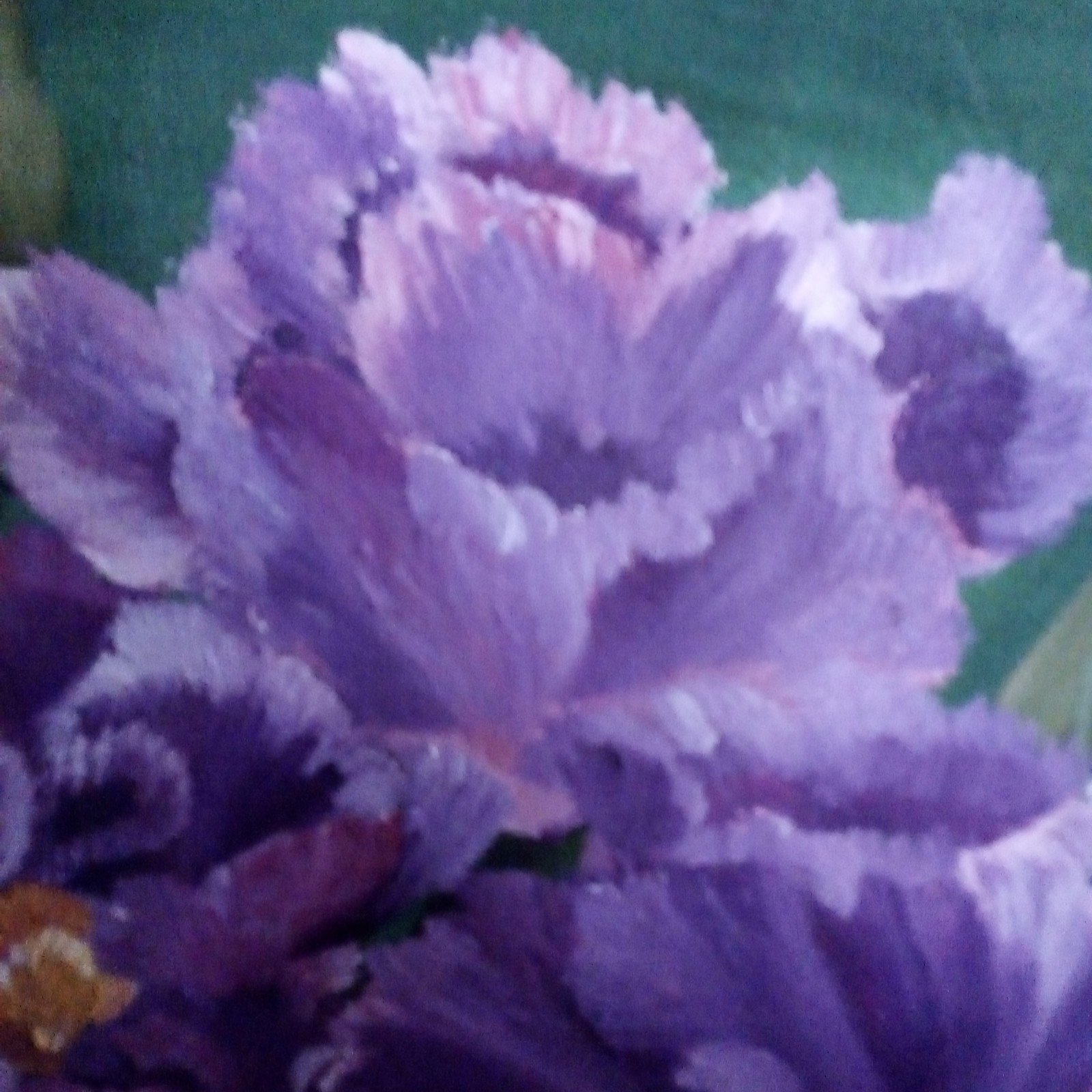 Bild 7 von 8