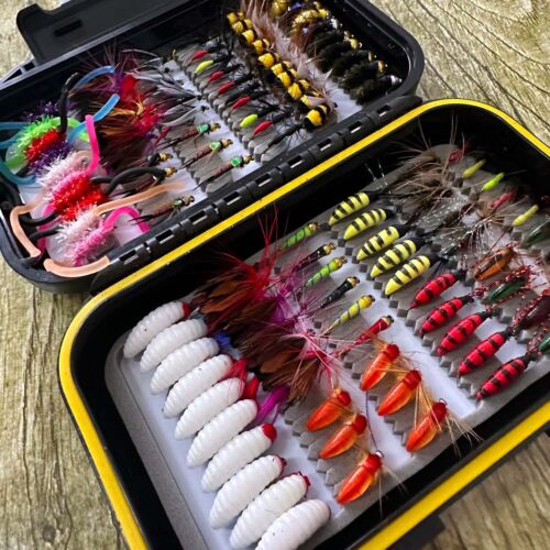 Fly Fishing Flies Kit Fly Lures Bass Salmon Trouts Flies Dry/Wet Fishing Bait - Afbeelding 1 van 19