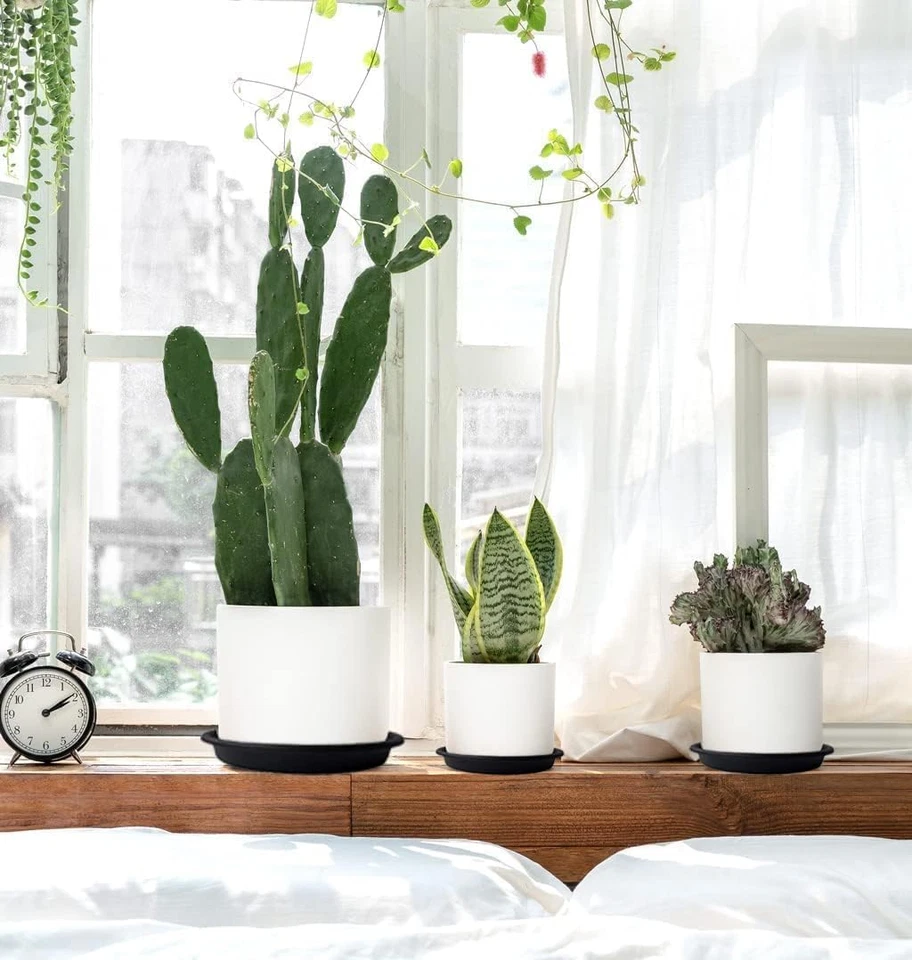 5 paquetes de platillos para plantas 6 8 10 12 14 16 19 22 26 pulgadas bandeja de plástico para maceta planta de flores Foto 3 de 4