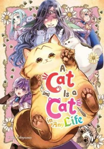 A Cat Is a Cat in Any Life by Ema Toyama (Paperback Book) - Image 8