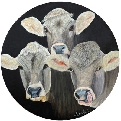 Drei Kühe Portrait, ein Viehportrait, rundes Acrylgemälde