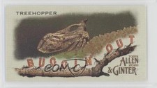 2020 Topps Allen & Ginter's Buggin' Out! Minis Treehopper #MBO-20 x0y