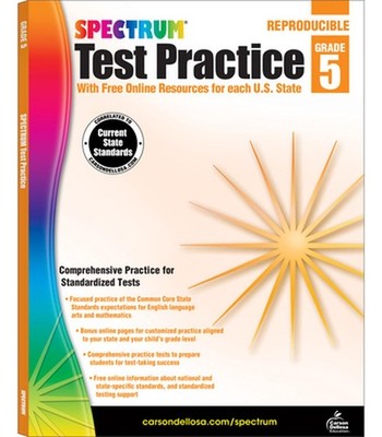 Spectrum Test Practice, Grade 5: Volume 65 by Spectrum (English) Paperback Book