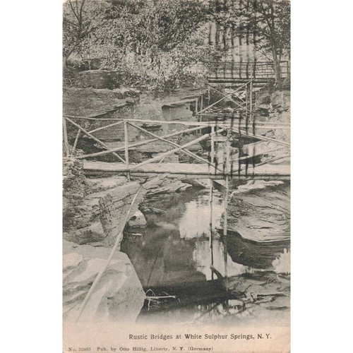 Rustic Bridges at White Sulphur Springs New York c1910 Postcard / 2T5