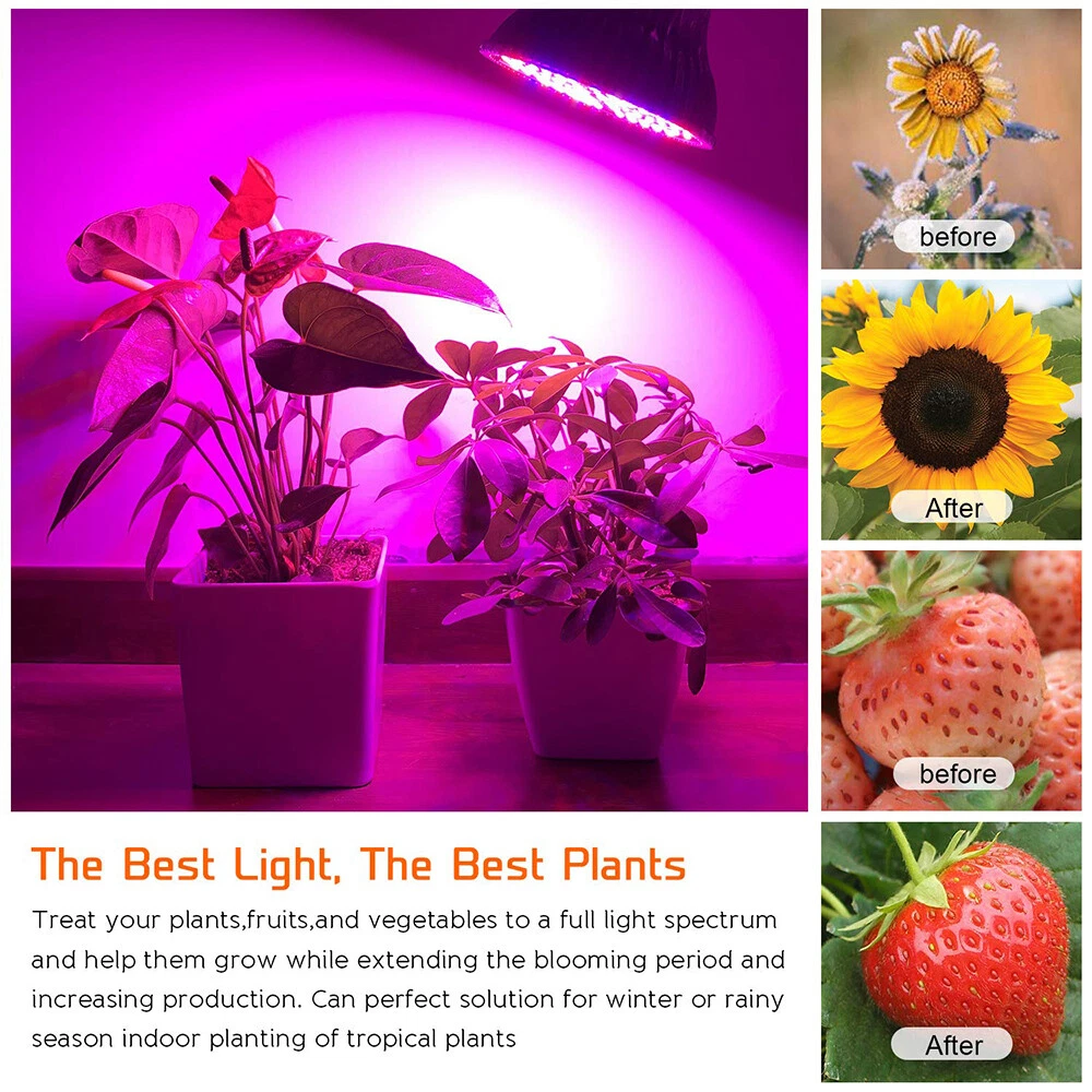 8W 80W Full Spectrum LED Grow Light Lamp Greenhouse Indoor Plant