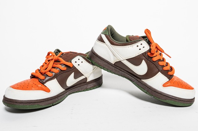 nike zoom dunk low pro