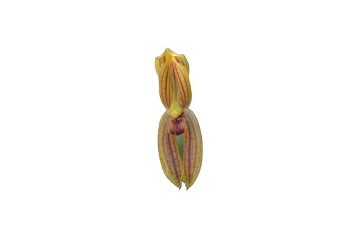 tobacco by mail Mail Pouch Tobacco Barn | A Mail Pouch Tobacco Barn is a bar…