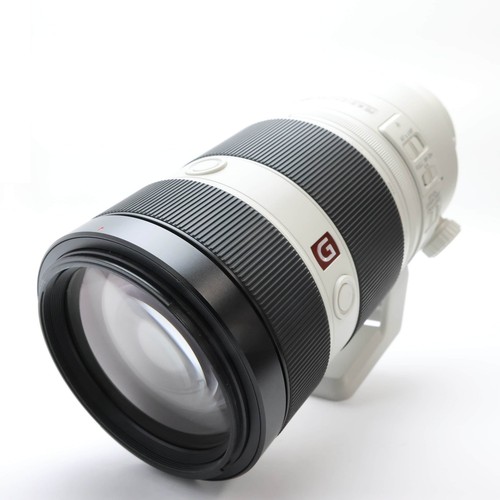 SONY FE 100-400mm F/4.5-5.6 GM OSS SEL100400GM (SONY E mount) #615