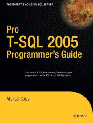 Pro T-SQL 2005 Programmer's Guide | Buch | 9781590597941