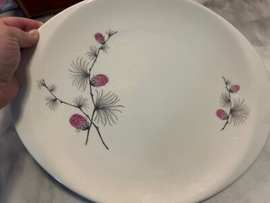 Canonsburg Pottery Wild Clover 14" Large Oval Serving Platter