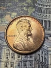 1909 VDB Lincoln Wheat Cent 🇺🇸