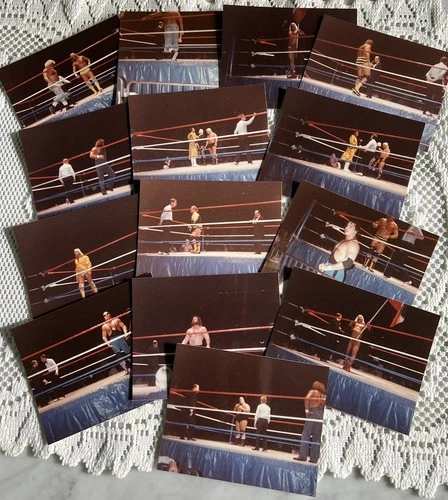 14 Photos, 15 Stubs WWF at Hershey, Pa. 1985-86. Iron Sheik, Bundy, Brett Hart+