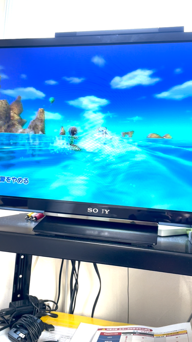 Wii Sports Resort Nintendo Wii 2009 Japanese Version RVL-R-RZTJ
