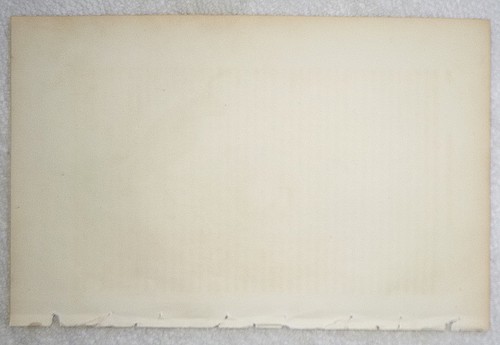 Audubon 1st ed Octavo COMMON OR ARCTIC PUFFIN Birds of America 1840 original - Picture 5 of 6