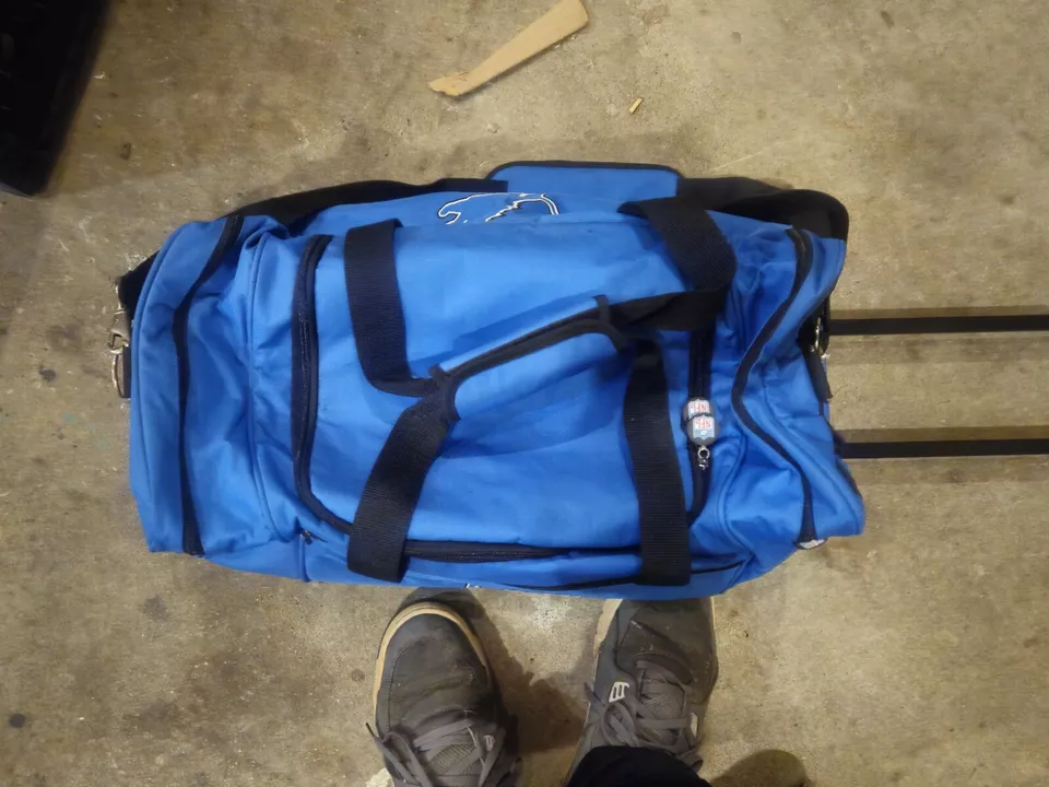 Nfl 底特律狮子会 27 英寸滚轮行李袋塑料冷藏箱衬里。  — 第 3/4 张图片