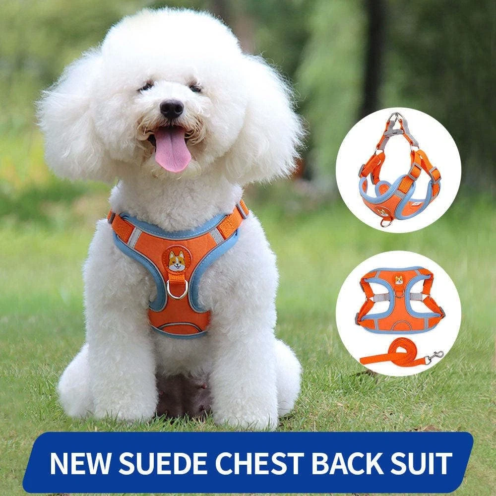 Dog Harness Leash Set for Small Dogs Adjustable Puppy Cat Harness Vest French Bu