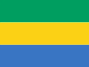 Gabon Flag Self Adhesive Vinyl Sticker