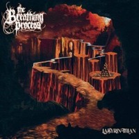 Breathing Process - Labyrinthian 2LP/ORANGE Marbled Vinyl - Vinyl Reco - G3Z