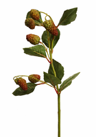 Brombeere Zweig KüNstlich 45 Cm – 10 FrüChte GrüN-Rot –SommerfrüChte Beeren Deko