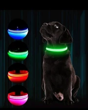 LED Glowing Dog Pet Rechargeable Waterproof Collar Night Light Large Green