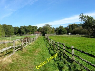 Foto 6x4 Hopfengarten Grundstück\/Long Mead Bolney Der Name des Feldes Accordi c2014