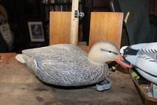 Plastic Duck Decoy Hard Core Standard Nesting Mallard Hen