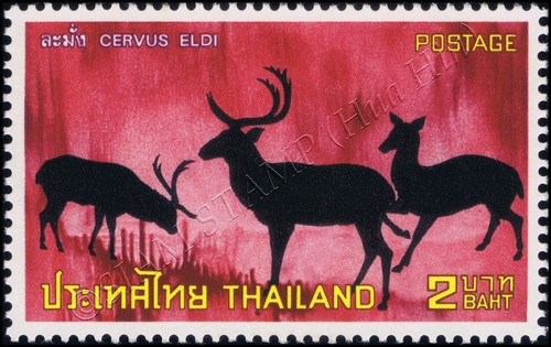 Wild Animals Preservation (I) (MNH) - Picture 7 of 9